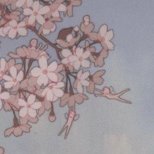 Meet your Posher, Shirley